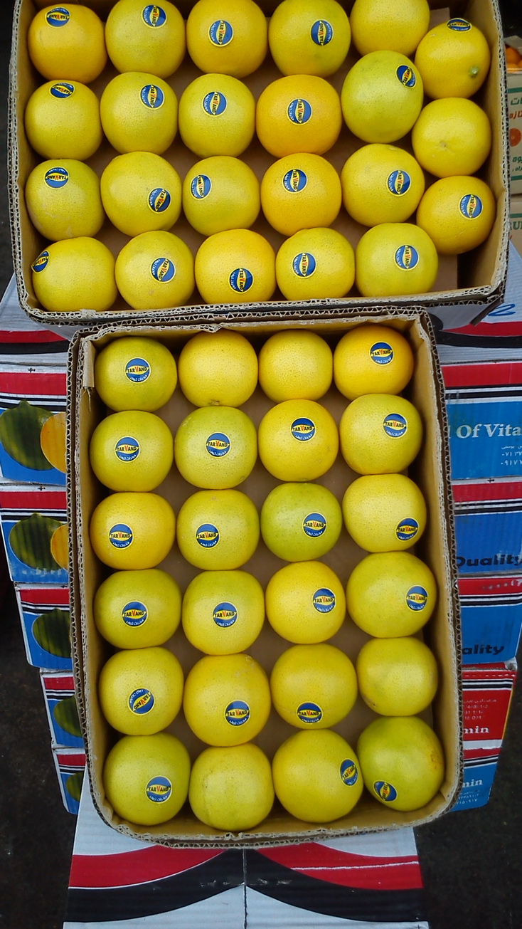 لیمون حلو6